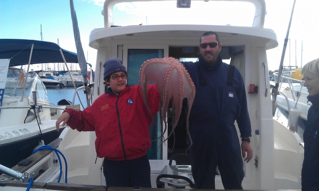 pescando pulpos